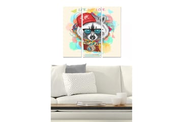 Trelerretsbilde 3-delt 50x70 cm - Rotte med solbriller og rød lue omgitt av fargerike mønstre - Rød / Blå / Gul - Interiør - Maleri & posters - Lerretsbilder