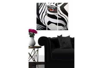 Trelerretsbilde 3-delt 50x70 cm - Sebra med fremtredende øye - Svart / Hvit / Brun - Interiør - Maleri & posters - Lerretsbilder