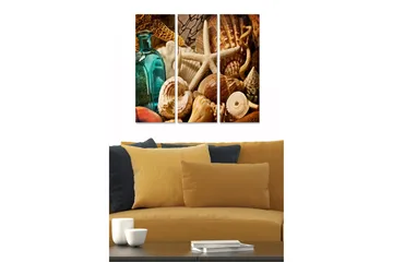 Trelerretsbilde 3-delt 50x70 cm - Sjøinspirert samling av skjell og strandgjenstander - Turkis / Beige / Brun - Interiør - Maleri & posters - Lerretsbilder