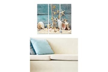Trelerretsbilde 3-delt 50x70 cm - Sjømotiv med skjell og sjøstjerner på sandbakgrunn - Turkis / Beige / Hvit - Interiør - Maleri & posters - Lerretsbilder
