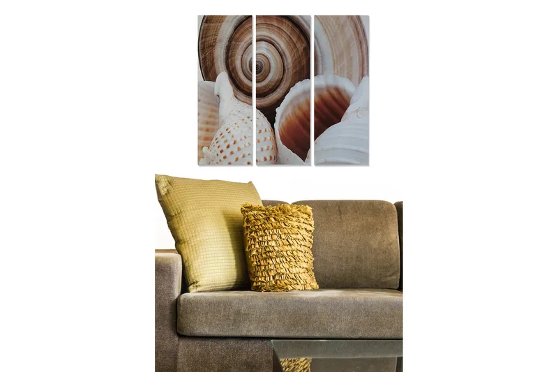 Trelerretsbilde 3-delt 50x70 cm - Skjell med detaljerte mønstre og naturlige former, Hvit / Beige / Brun