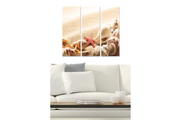 Trelerretsbilde 3-delt 50x70 cm - Skjell og sjøstjerne på en sandstrand - Beige / Rød / Brun - Interiør - Maleri & posters - Lerretsbilder