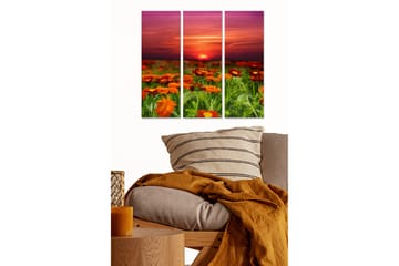 Trelerretsbilde 3-delt 50x70 cm - Solnedgang over en blomstereng med oransje blomster - Oransje / Grønn / Lilla - Interiør - Maleri & posters - Lerretsbilder