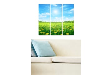 Trelerretsbilde 3-delt 50x70 cm - Solrik eng med løvetann og blå himmel - Grønn / Gul / Blå - Interiør - Maleri & posters - Lerretsbilder