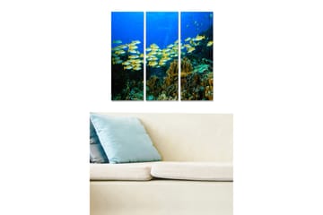 Trelerretsbilde 3-delt 50x70 cm - Stim med fargerike fisker i dypet av korallrevet - Blå / Gul / Grønn - Interiør - Maleri & posters - Lerretsbilder