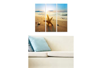 Trelerretsbilde 3-delt 50x70 cm - Stjerneformet sjøstjerne på en sandstrand ved solnedgang - Gull / Blå / Beige - Interiør - Maleri & posters - Lerretsbilder