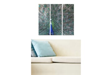 Trelerretsbilde 3-delt 50x70 cm - Storslått påfuglfjær med iriserende øyemønster - Grønn / Blå / Svart - Interiør - Maleri & posters - Lerretsbilder