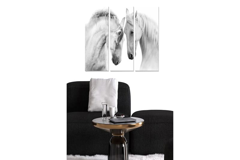 Trelerretsbilde 3-delt 50x70 cm - To elegante hvite hester som står tett inntil hverandre, Hvit / Grå
