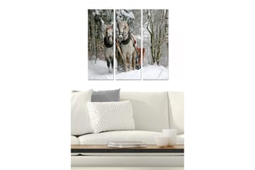 Trelerretsbilde 3-delt 50x70 cm - To hester i et snødekt landskap med slede - Hvit / Grå / Brun - Interiør - Maleri & posters - Lerretsbilder