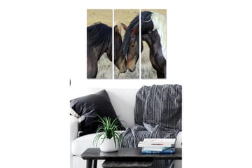 Trelerretsbilde 3-delt 50x70 cm - To hester som forsiktig lener hodene mot hverandre - Mørk brun / Lys brun / Hvit - Interiør - Maleri & posters - Lerretsbilder