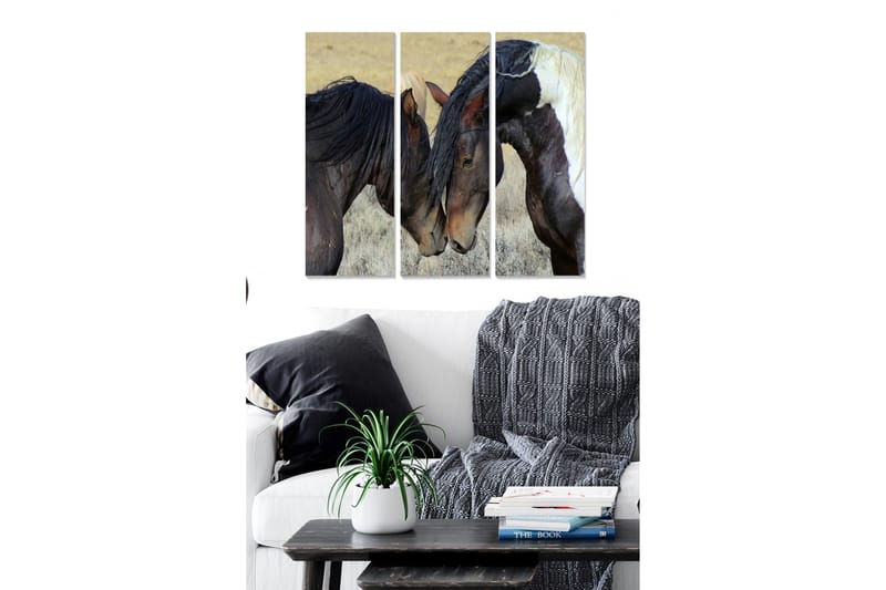 Trelerretsbilde 3-delt 50x70 cm - To hester som forsiktig lener hodene mot hverandre, Mørk brun / Lys brun / Hvit