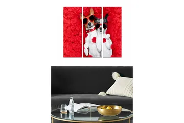 Trelerretsbilde 3-delt 50x70 cm - To hunder med solbriller omgitt av røde roser - Rød / Hvit - Interiør - Maleri & posters - Lerretsbilder