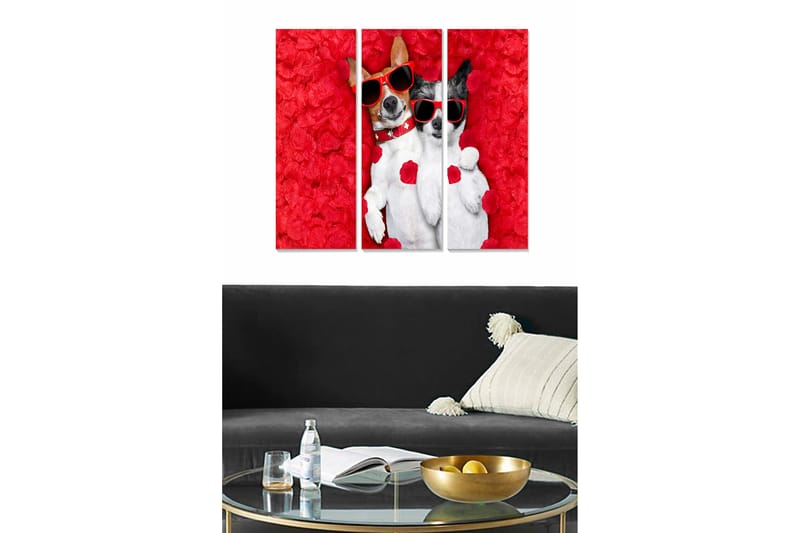 Trelerretsbilde 3-delt 50x70 cm - To hunder med solbriller omgitt av røde roser, Rød / Hvit