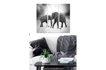 Trelerretsbilde 3-delt 50x70 cm - Tre elefanter i svart-hvitt-komposisjon - Svart / Hvit / Grå - Interiør - Maleri & posters - Lerretsbilder