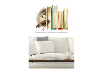 Trelerretsbilde 3-delt 50x70 cm - Ugle titter frem bak bøker - Brun / Gul / Rød - Interiør - Maleri & posters - Lerretsbilder