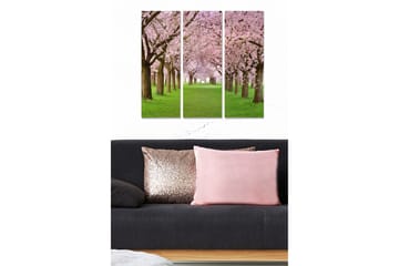 Trelerretsbilde 3-delt 50x70 cm - Vakker allé med kirsebærtrær i blomst - Rosa / Grønn / Brun - Interiør - Maleri & posters - Lerretsbilder