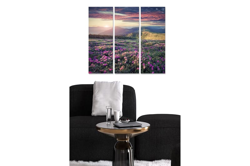 Trelerretsbilde 3-delt 50x70 cm - Vakker blomstereng med fargerike blomster og fjerne fjell ved solnedgang, Lilla / Grønn / Oransje