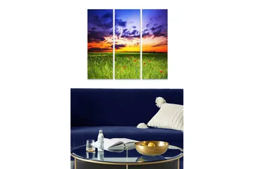 Trelerretsbilde 3-delt 50x70 cm - Vakker solnedgang over en grønn eng med røde blomster - Grønn / Oransje / Blå - Interiør - Maleri & posters - Lerretsbilder