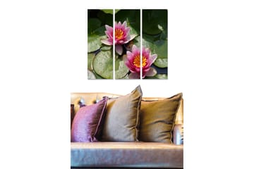 Trelerretsbilde 3-delt 50x70 cm - Vakre vannliljer i en rolig vannoverflate - Rosa / Grønn / Gul - Interiør - Maleri & posters - Lerretsbilder