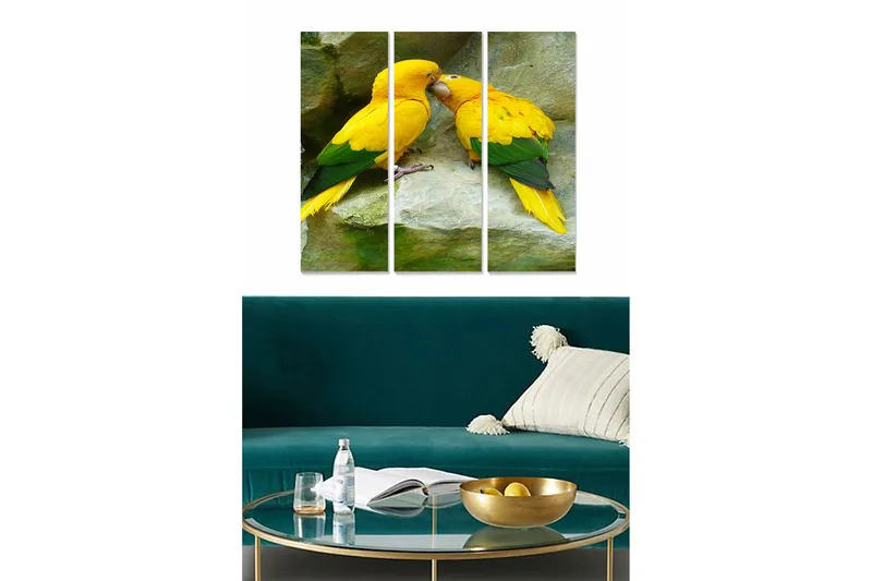 Trelerretsbilde 3-delt 50x70 cm - Par fargerike papegøyer som viser ømhet mot hverandre, Gul / Grønn