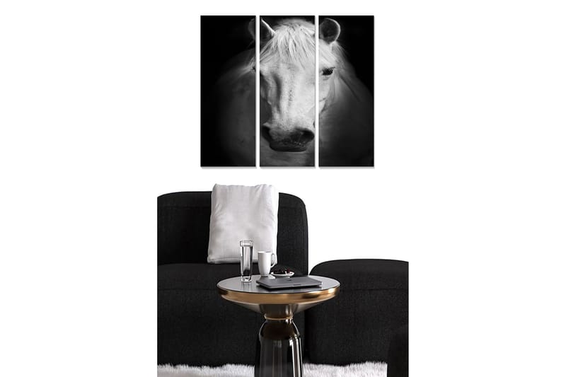 Trelerretsbilde 3-delt 50x70 cm - Portrett av en hvit hest i svart-hvitt, Hvit / Svart