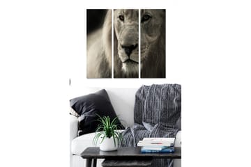 Trelerretsbilde i 3 deler, 50x70 cm - Majestetisk løvehode i nærbilde - Grå / Beige / Svart - Interiør - Maleri & posters - Lerretsbilder