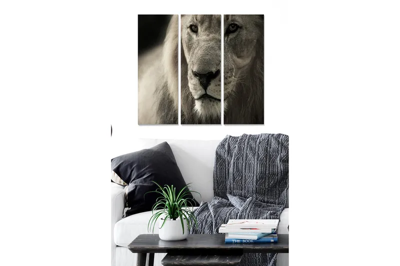 Trelerretsbilde i 3 deler, 50x70 cm - Majestetisk løvehode i nærbilde, Grå / Beige / Svart