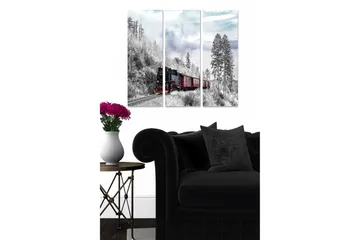 Trelerretsbilde i tre, 3 deler, 50x70 cm - Damptog som kjører gjennom et vinterlig skogsmiljø - Svart / Rød / Grå - Interiør - Maleri & posters - Lerretsbilder