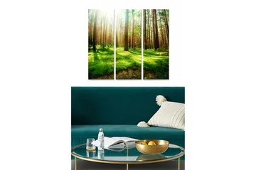 Trelerretsbilde i tre, 3 deler, 50x70 cm - Frodig skog med høye trær og solstråler som filtrerer gjennom grenene - Grønn / Brun / Gul - Interiør - Maleri & posters - Lerretsbilder
