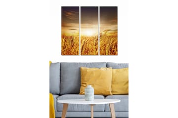 Trelerretsbilde i tre, 3 deler, 50x70 cm - Gyldne hveteåkre under en solnedgang - Gull / Oransje / Brun - Interiør - Maleri & posters - Lerretsbilder