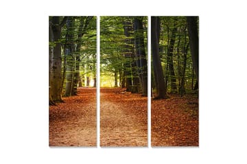 Trelerretsbilde i tre, 3 deler, 50x70 cm - Vakker skogsti omgitt av grønne trær og høstløv - Grønn / Oransje / Brun - Interiør - Maleri & posters - Lerretsbilder