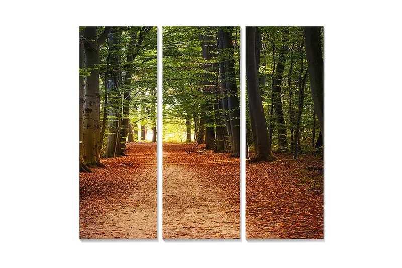 Trelerretsbilde i tre, 3 deler, 50x70 cm - Vakker skogsti omgitt av grønne trær og høstløv, Grønn / Oransje / Brun