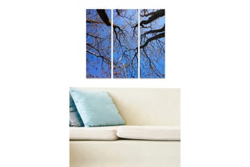 Trelerretsbilde i tre, 3 deler, 50x70 cm - Vakker utsikt over tretoppene mot en klar blå himmel - Blå / Brun / Gull - Interiør - Maleri & posters - Lerretsbilder
