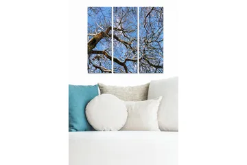 Trelerretsbilde i tre, 3 deler, 50x70 cm - Vinterlandskap med snødekte tregrener mot en klar blå himmel - Blå / Hvit / Brun - Interiør - Maleri & posters - Lerretsbilder