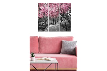 Trelerretsbilde i tre, 3-delt, 50x70 cm - Blomstrende kirsebærtrær i et svart-hvitt parkmiljø - Rosa / Svart / Grå - Interiør - Maleri & posters - Lerretsbilder