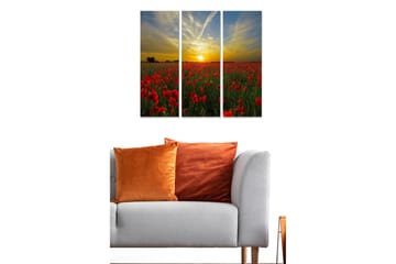 Trelerretsbilde i tre, 3-delt, 50x70 cm - En eng med røde valmuer og en solnedgang i bakgrunnen - Rød / Grønn / Gul - Interiør - Maleri & posters - Lerretsbilder