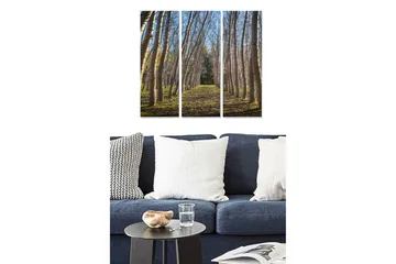 Trelerretsbilde i tre, 3-delt, 50x70 cm - Frodig allé med høye trær som strekker seg mot en lys himmel - Grønn / Brun / Blå - Interiør - Maleri & posters - Lerretsbilder