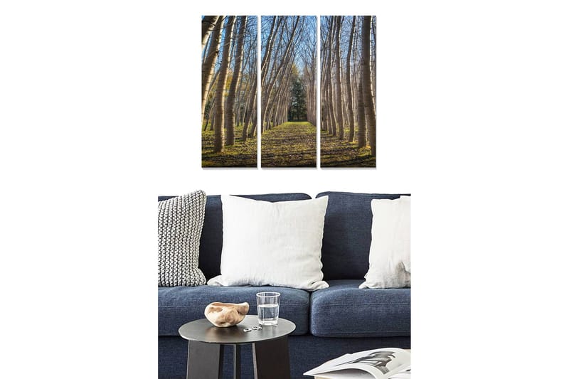 Trelerretsbilde i tre, 3-delt, 50x70 cm - Frodig allé med høye trær som strekker seg mot en lys himmel, Grønn / Brun / Blå
