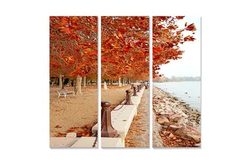 Trelerretsbilde i tre, 3-delt, 50x70 cm - Høstlandskap med gylne løvtrær langs en promenade ved vannet - Oransje / Brun / Beige - Interiør - Maleri & posters - Lerretsbilder