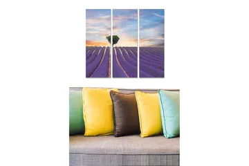 Trelerretsbilde i tre, 3-delt, 50x70 cm - Lavendelfelt under en solnedgang med en ensom tresilhuett - Lilla / Grønn / Oransje - Interiør - Maleri & posters - Lerretsbilder