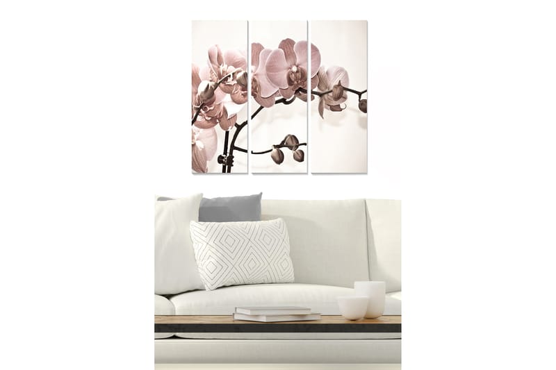 Trelerretsbilde i tre, 3-delt, 50x70 cm - Lyserosa orkideer på en stilig bakgrunn, Lys rosa / Beige / Brun