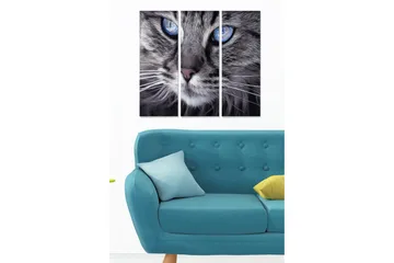 Trelerretsbilde i tre, 3-delt, 50x70 cm - Nærbilde av en katt med intense blå øyne - Grå / Blå - Interiør - Maleri & posters - Lerretsbilder