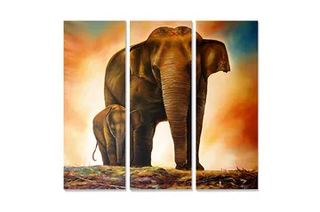 Trelerretsbilde i tre, 3-delt, 50x70 cm - Storslått elefant med kalv i et varmt og dramatisk miljø - Brun / Oransje / Beige - Interiør - Maleri & posters - Lerretsbilder