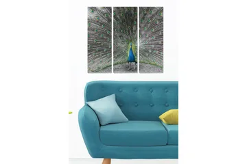 Trelerretsbilde i tre, 3-delt, 50x70 cm - Storslått påfugl med spredte fjær - Blå / Grønn / Grå - Interiør - Maleri & posters - Lerretsbilder