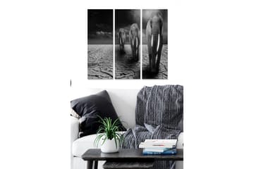 Trelerretsbilde i tre, 3-delt, 50x70 cm - Tre elefanter som går over en sprukken og tørr bakkeoverflate - Svart / Grå / Hvit - Interiør - Maleri & posters - Lerretsbilder