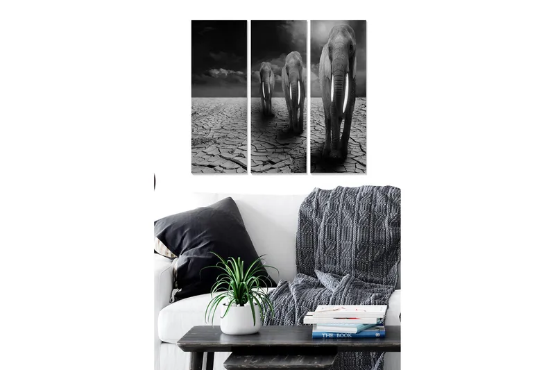 Trelerretsbilde i tre, 3-delt, 50x70 cm - Tre elefanter som går over en sprukken og tørr bakkeoverflate, Svart / Grå / Hvit