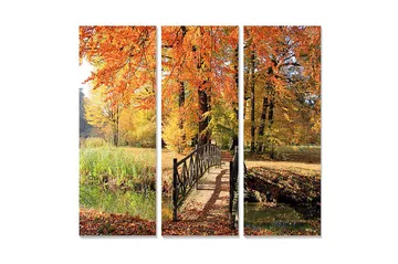 Trelerretsbilde i tre, 3-delt, 50x70 cm - Vakkert høstlandskap med fargerike trær og en bro over en stille vannflate - Oransje / Gul / Grønn - Interiør - Maleri & posters - Lerretsbilder