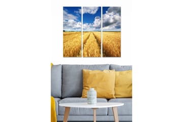 Trelerretsbilde i tre, 3-delt, 50x70 cm - Vakkert landskap med gylne kornåkre under en blå himmel med skyer - Gyllen / Blå / Hvit - Interiør - Maleri & posters - Lerretsbilder