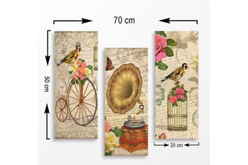 Trelerretsbilde i tre, 3-delt, 50x70 cm - Vintage-komposisjon med fugler, blomster og grammofon - Gull / Rosa / Grønn - Interiør - Maleri & posters - Lerretsbilder