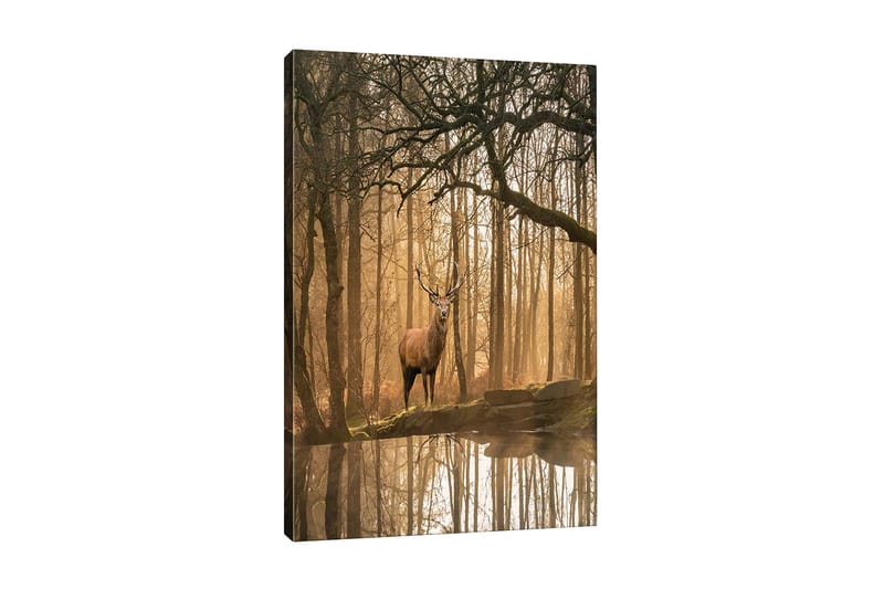 Veggdekorasjon Canvas Bilde - Interiør - Maleri & posters - Lerretsbilder